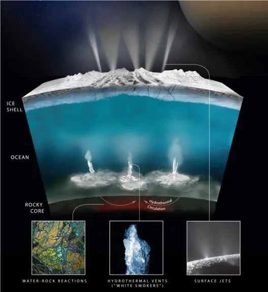 19 Nov webinar image 2